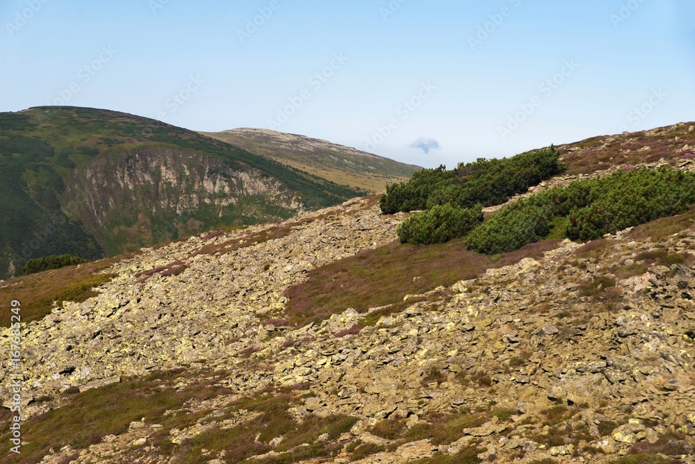 Stone rubble field on mountainside, Snezka, Czech republic.