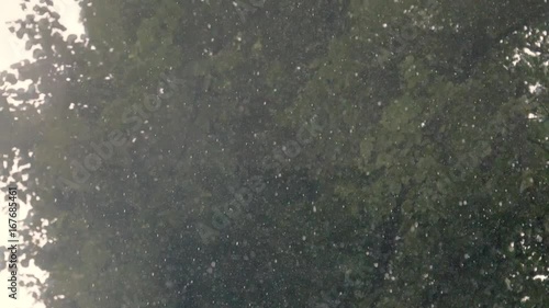 Rain in slow motion rainy day heavy raining in forest trees park