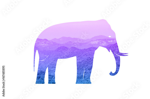 Animal double exposure with...