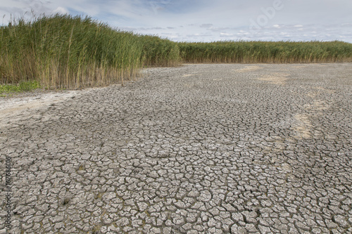 Dürre im Nationalpark Neusiedler See, Seewinkel