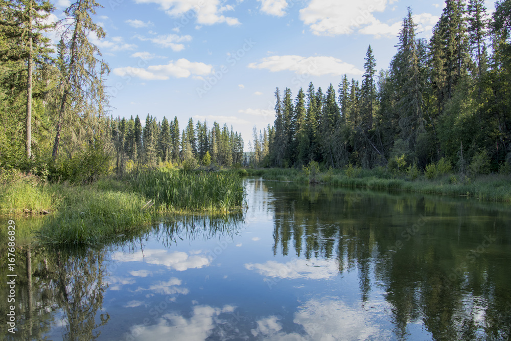 Reflection pond and landscape at the creek joining Kingsmere Lake and Waskesiu Lake in Prince Albert National Park in Saskatchewan Canada. Reflection pond and landscape at the creek joining Kingsmere Lake and Waskesiu Lake in Prince Albert National Park in Saskatchewan Canada.
