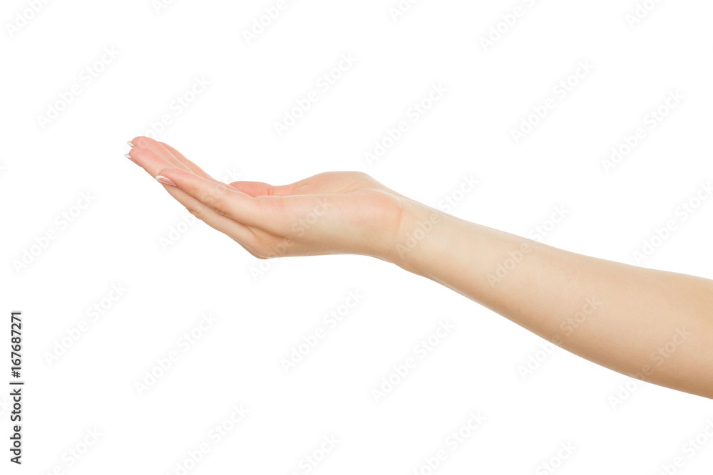 Woman's hand keeping empty cupped palm, crop, cutout Woman's hand keeping empty cupped palm, crop, cutout