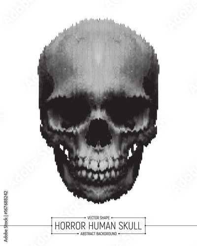 Vector Human Horror Skull Art Illustration Isolated on White Background