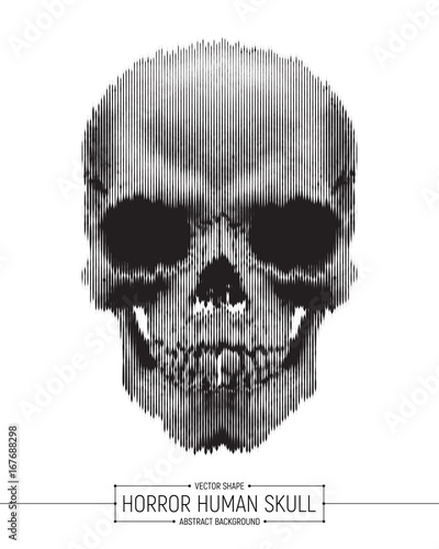 Vector Human Horror Skull Art Illustration Isolated on White Background