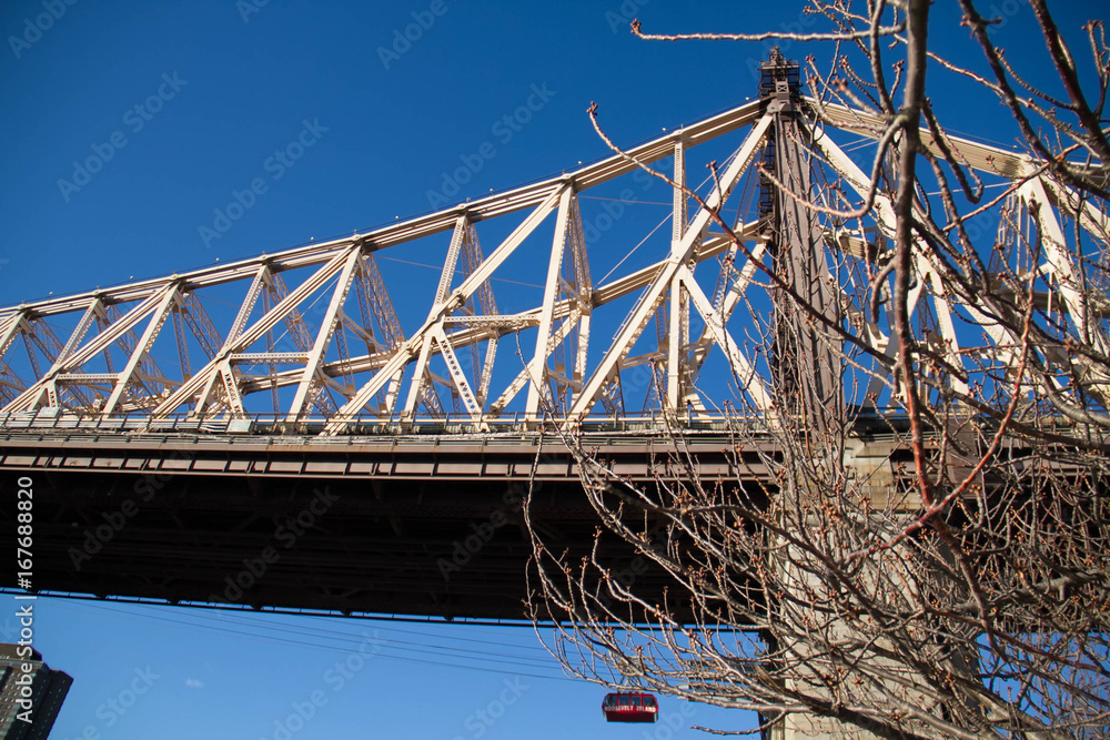 Fototapeta premium Queensboro bridge and tree without leaves