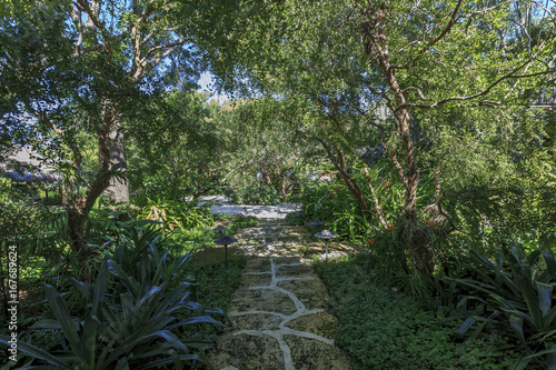 Private Garden in Marathon, Keys Florida USA