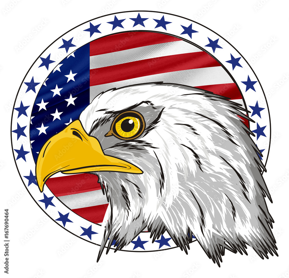Eagle, bird, bald eagle, head, white, America, USA, cartoon, american,  head, hunter, 4 july, icon, banner, flag, circle, round Stock Illustration  | Adobe Stock