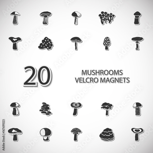 Mushrooms set of velcro magnets. Vector illustration