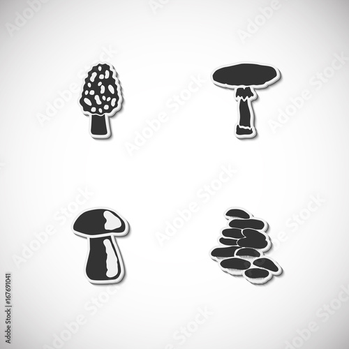 Mushrooms set of velcro magnets. Vector illustration