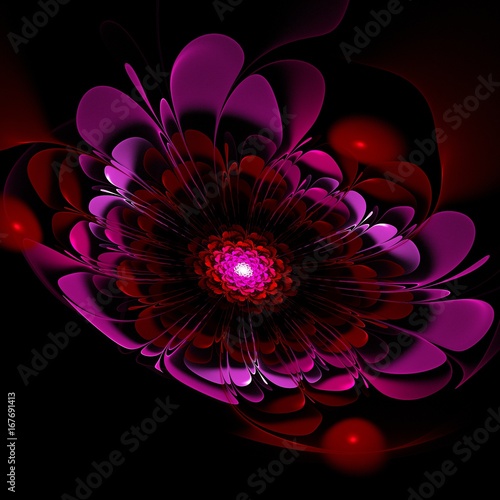 Dark fractal flower  digital artwork for creative graphic design.