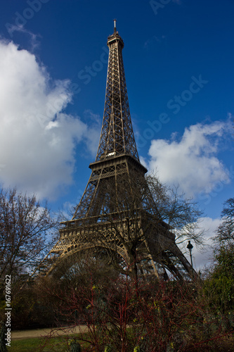 Fototapeta Naklejka Na Ścianę i Meble -  Eiffel Tower 