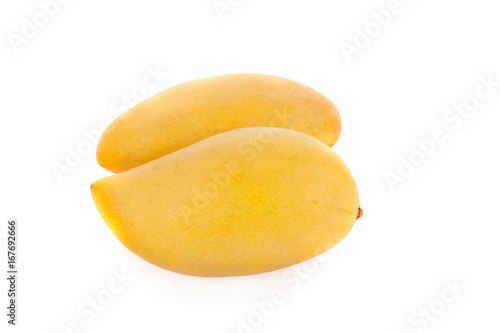 Ripe yellow mango fruit isolated on white