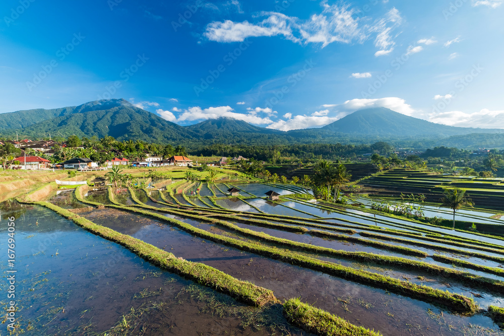 Bali Rice Terraces. The beautiful and dramatic rice fields of Jatiluwih in southeast Bali have been designated the prestigious UNESCO world heritage site.