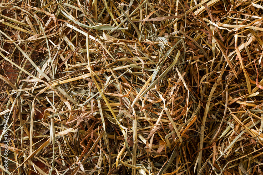 Dry straw and hay closeup background Dry straw and hay closeup background