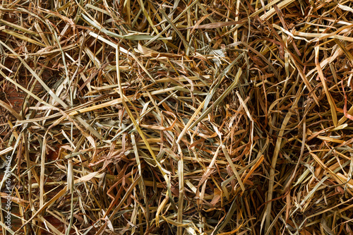 Dry straw and hay closeup background photo