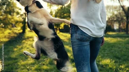 Beautiful woman walking cute dog in nature