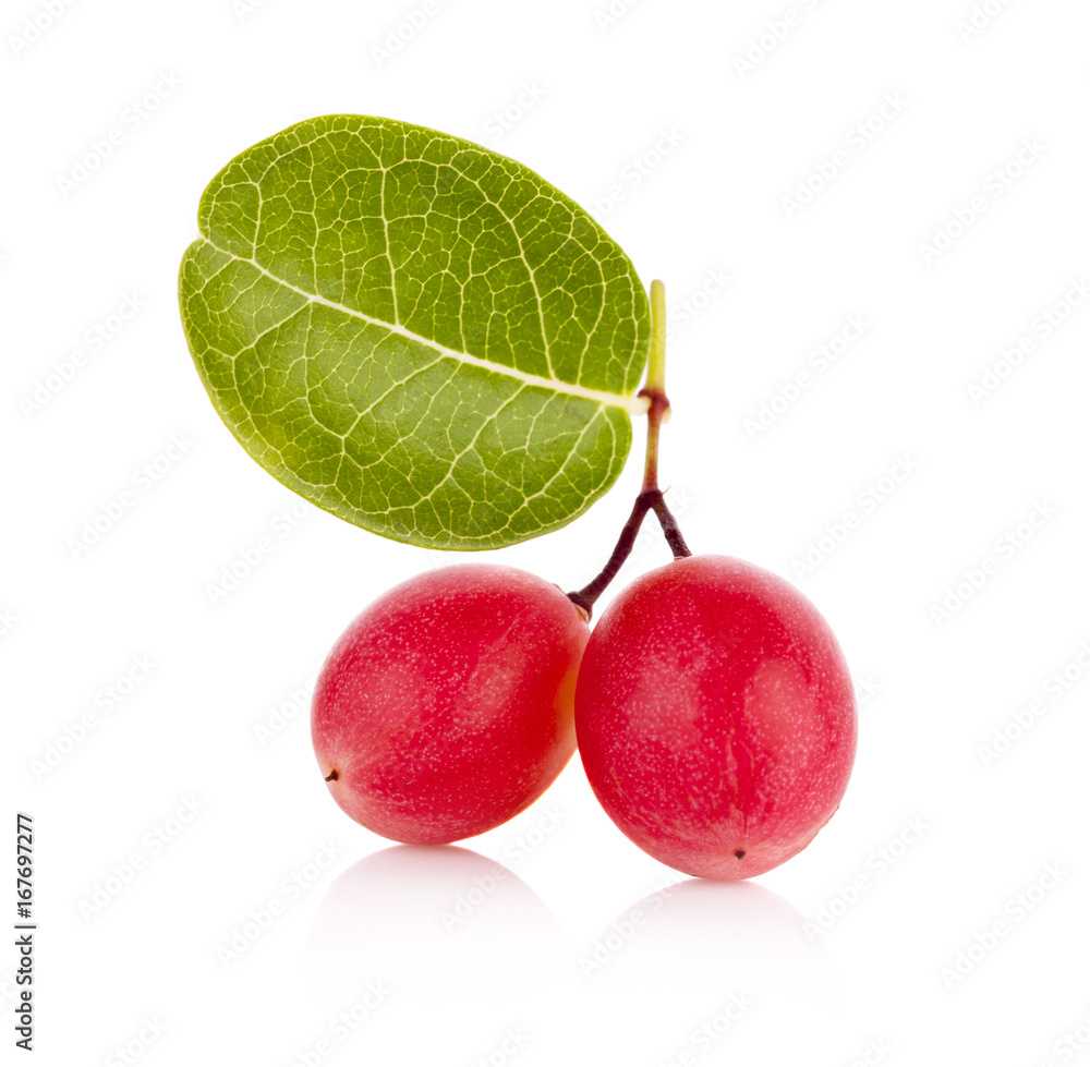 Carissa carandas Linn,Karanda, Carunda isolated on white background ...