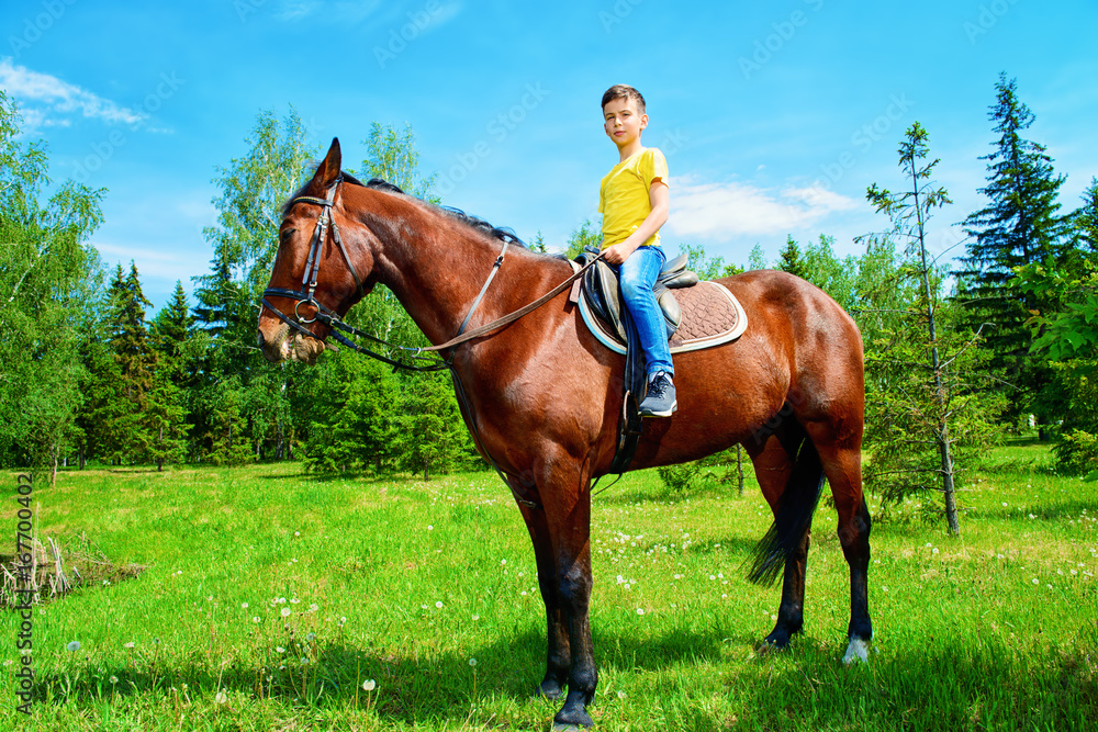 learn to ride a horse learn to ride a horse