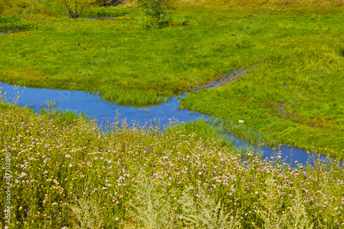 Brook is running over meadow