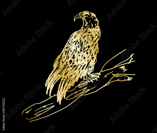 Golden eagle design photo