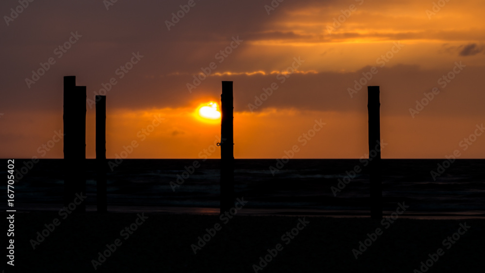 sonnenuntergang mit stämen