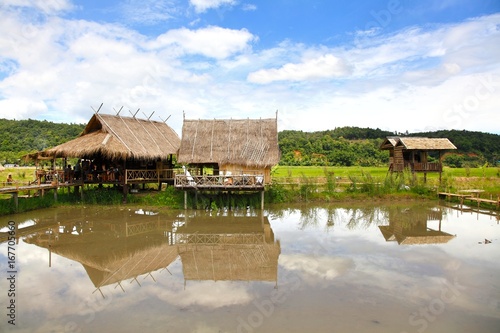 The house  and rice field in chiang dao city , chiangmai Thailand photo