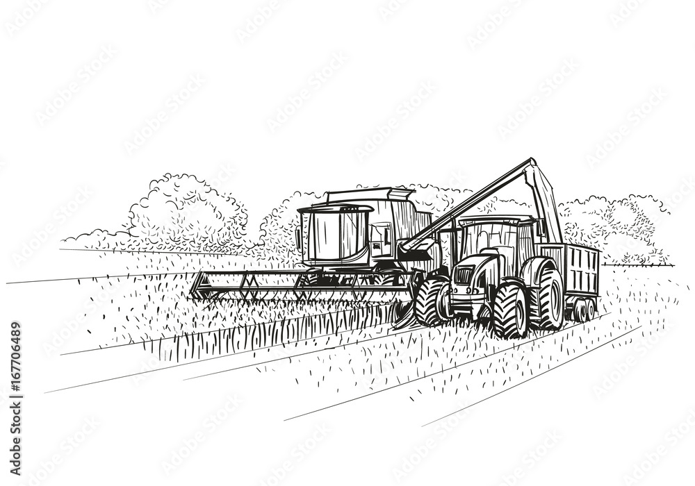 Combine Harvester and Tractor at work on field. Vector.