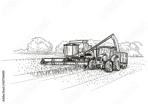 Combine Harvester and Tractor at work on field. Vector.