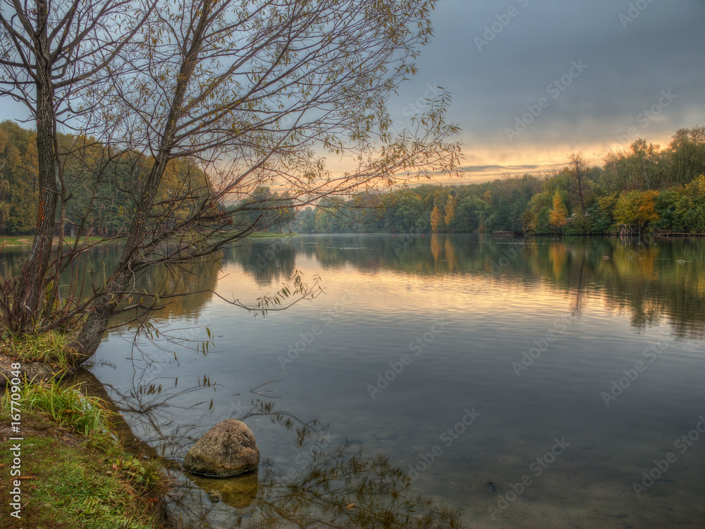 Obraz premium Rainy morning at the forest pond, with forest at far side, trees and rock on foreground.
