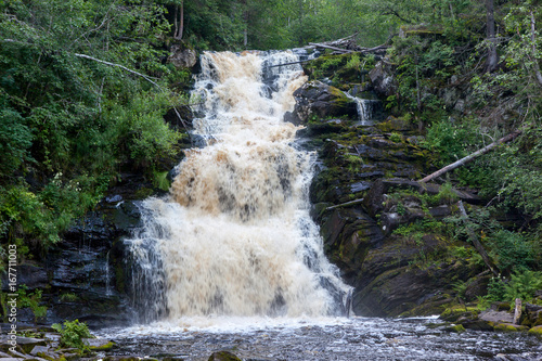 waterfall in deep green forest