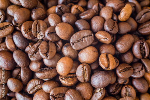 Coffee grains close-up