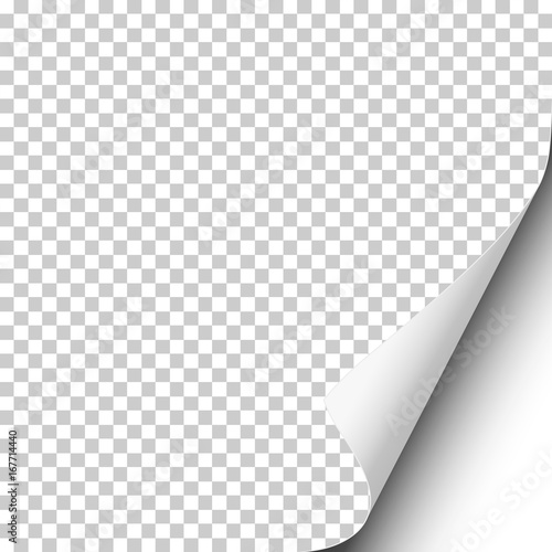 Vector page curl on blank transparent sheet of paper with shadow and white next page. Element for ad.