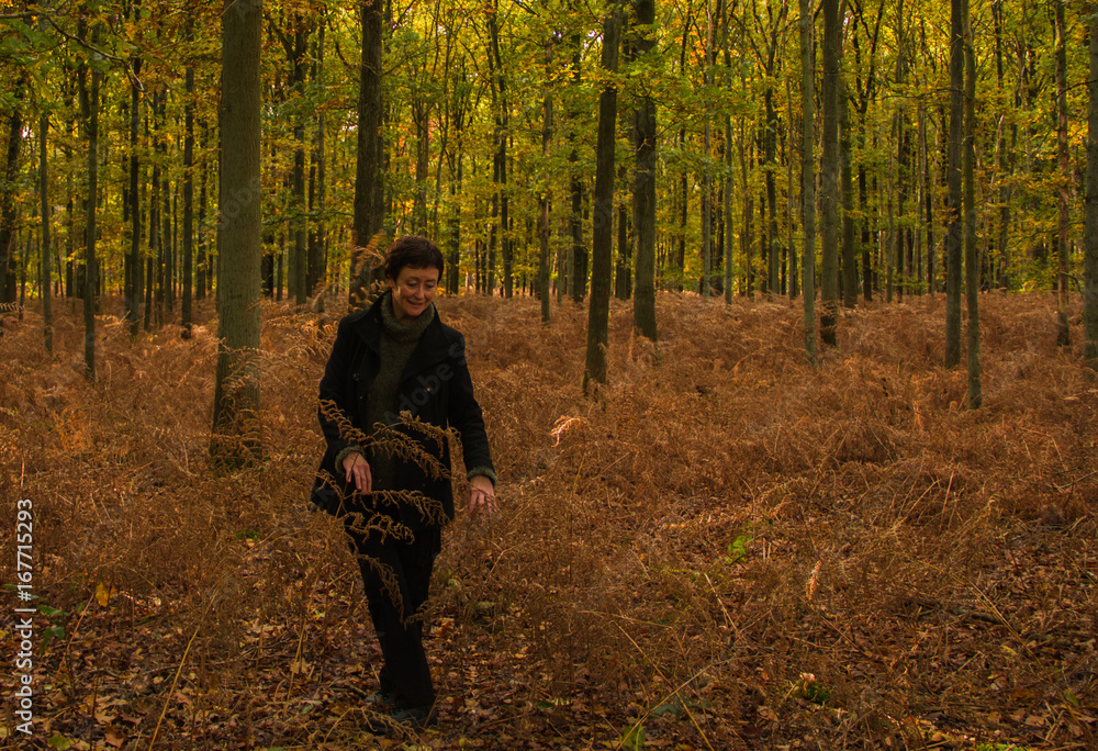 Walk in the autumn forest Walk in the autumn forest