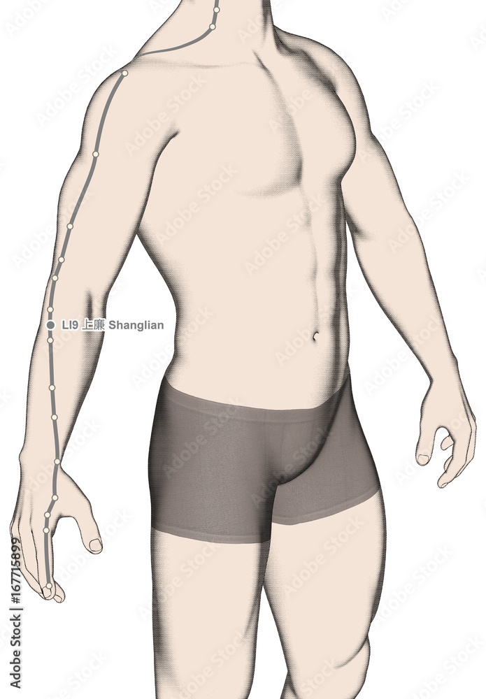Fototapeta premium Drawing Acupuncture Point LI9 Shanglian, 3D Illustration