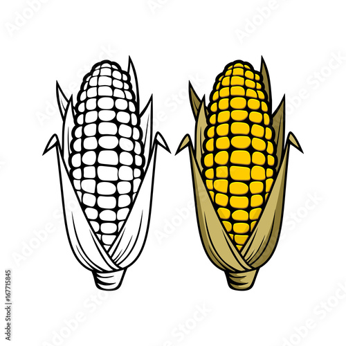 Logo and symbol of corn for Thanksgiving Day