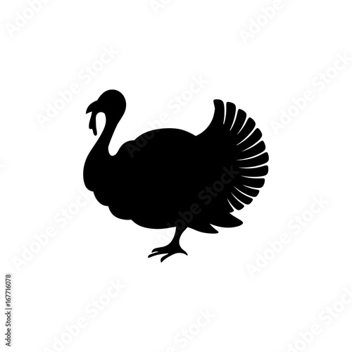 Logo and symbol of a turkey for Thanksgiving. photo