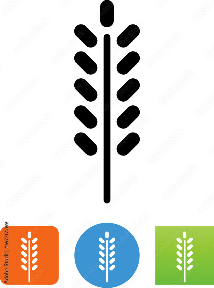 Vector Rice Grain Icon - Illustration