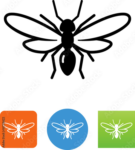 Winged Ant Icon - Illustration