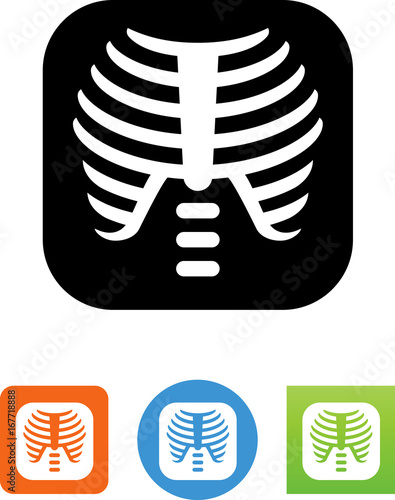 X-Ray Icon - Illustration