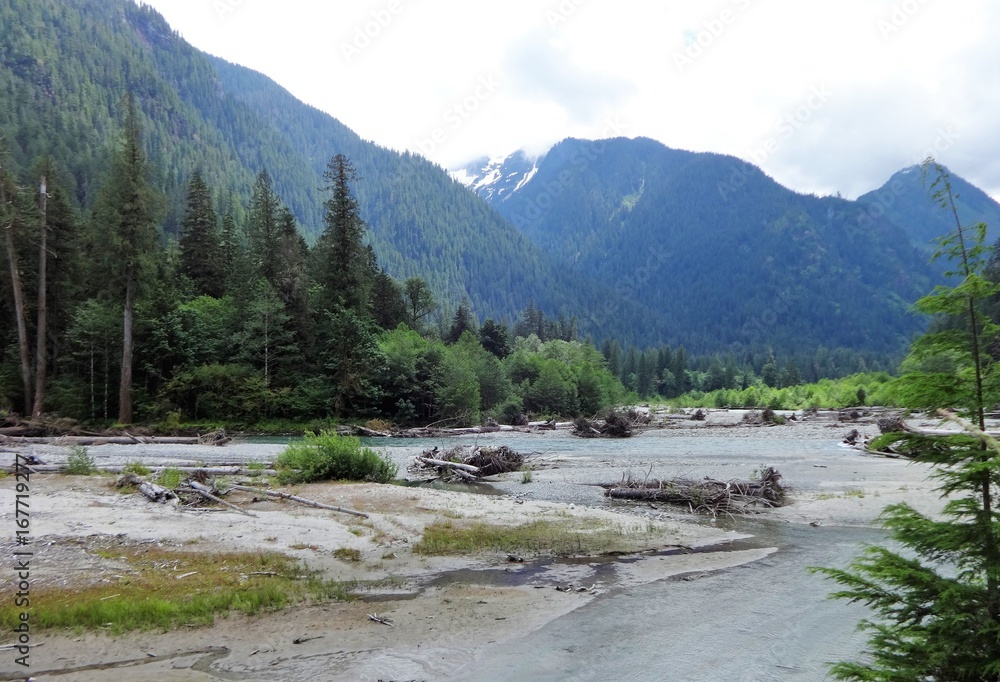 Flooded water left a large log at a bank of Baker River with North Cascade mountains view