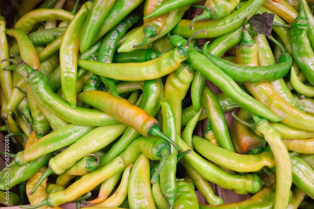 Green bitter pepper background top view Many green chili peppers, Food raw material Green bitter pepper background top view Many green chili peppers, Food raw material