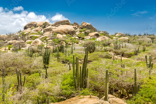 Ayo Rock formation and typical cacti in the Arikok national park, Aruba photo