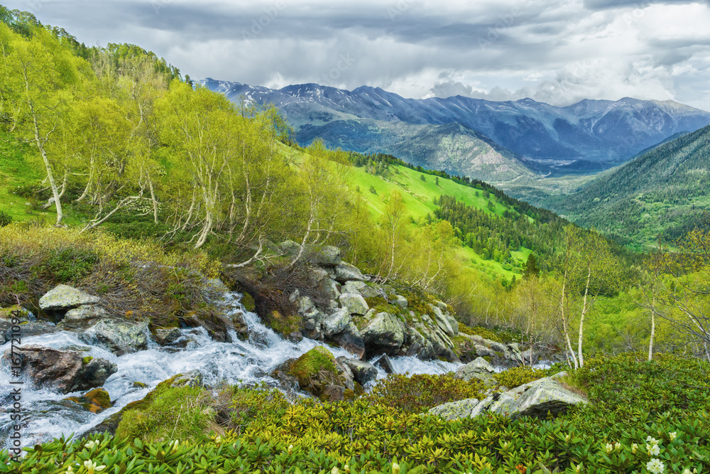 River in the mountains Arkhyz. The beautiful summer landscape with forest mountain and water stream. River in the mountains Arkhyz. The beautiful summer landscape with forest mountain and water stream.