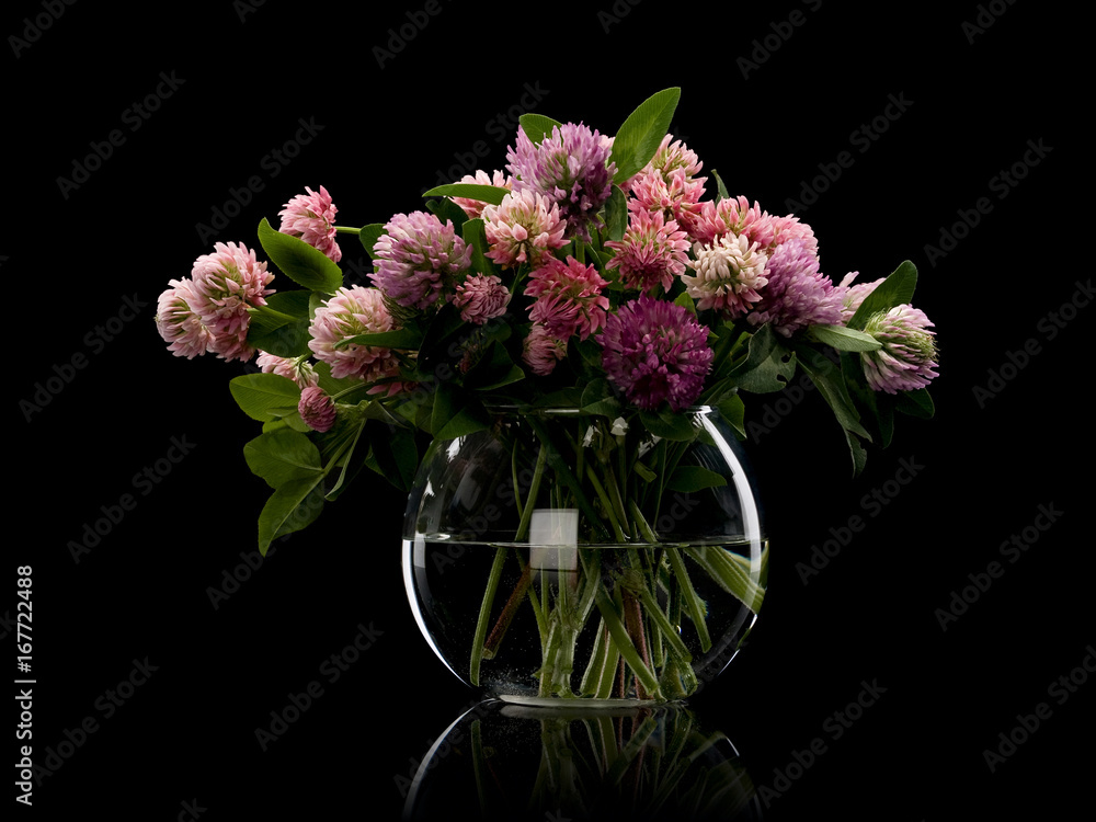 Clover flowers in glass vase Clover flowers in glass vase