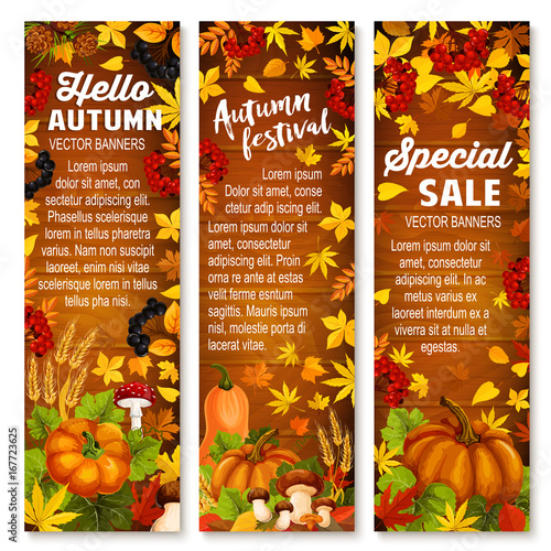 Autumn vegetable, leaf banner on wood background
