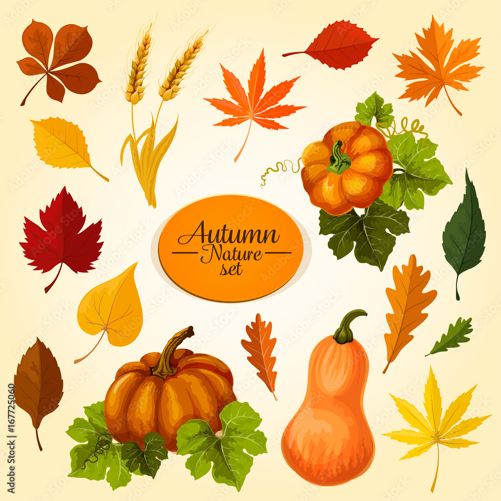 Autumn vegetable and fallen leaf icon set design Autumn vegetable and fallen leaf icon set design