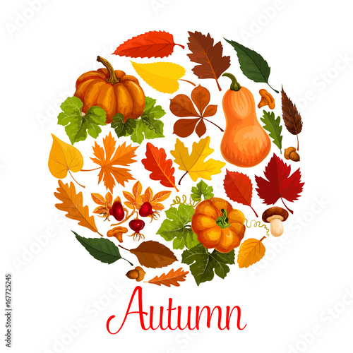 Fall season poster of autumn leaf and pumpkin