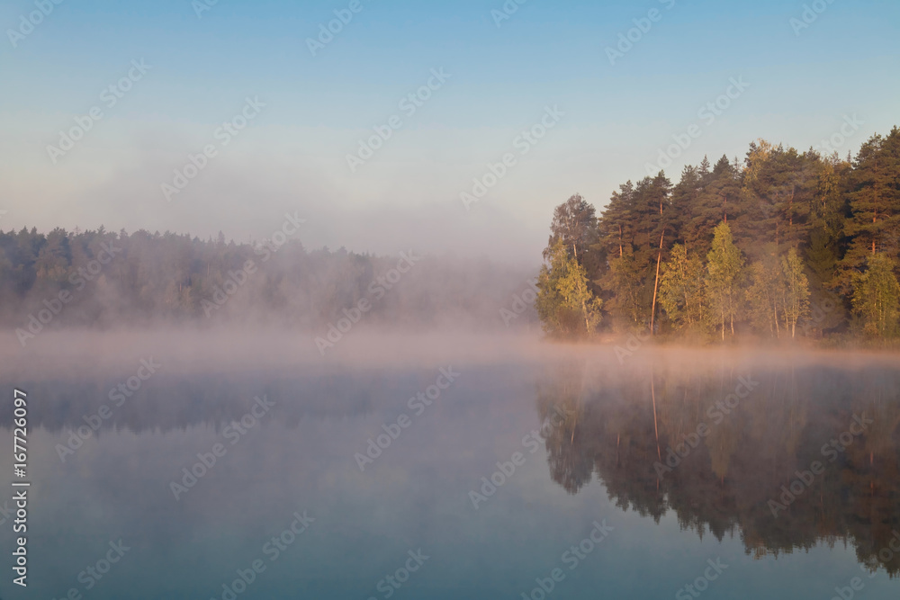 Fototapeta premium autumnal lake near the forest