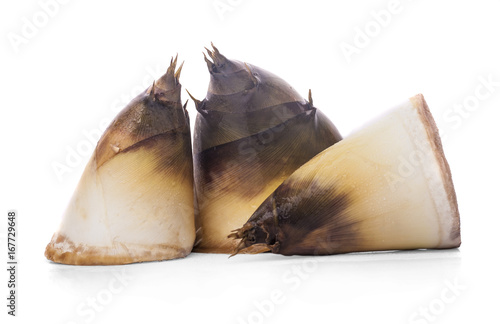 Bamboo shoot with leaf isolated on white background