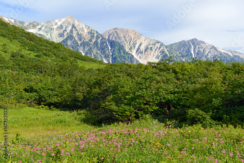 Alpine landscape of Japan Alps in Chubu Sangaku National Park  a day   s train ride from Tokyo and popular place for skiing and snowboarding in winter and hiking and climbing in summer.